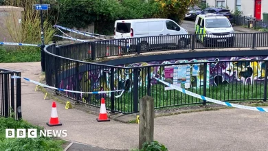 Cheltenham: Teens bailed after man, 73, punched in face dies