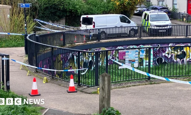 Cheltenham: Teens bailed after man, 73, punched in face dies
