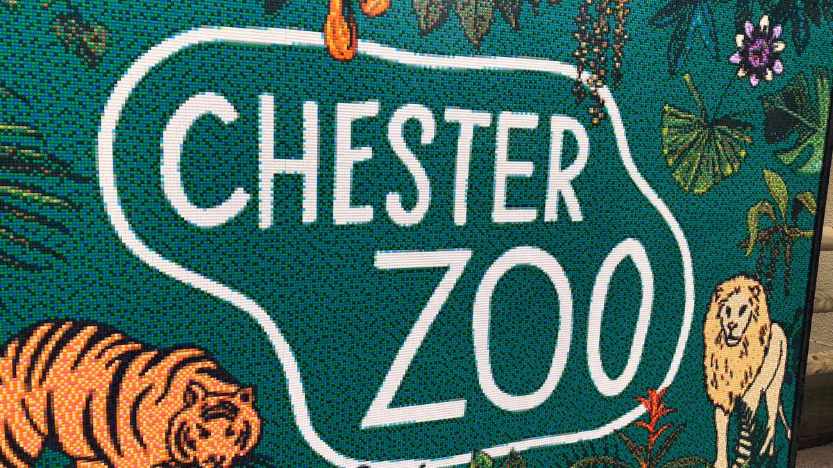 Chester Zoo announces birth of animal 'barely taller than a tin of baked beans'