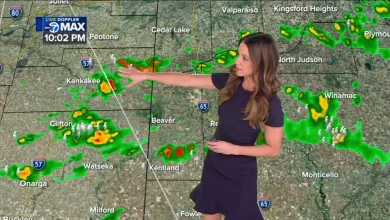 Chicago weather: Parts of area see Severe Thunderstorm Warning; severe weather outlook includes chance of strong storms Thursday