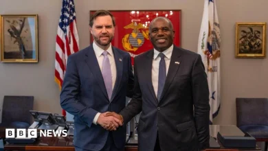 Chris Mason: How Lammy and Vance's unlikely friendship is being leveraged