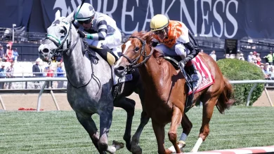 Churchill Downs buys Preakness Stakes, a move that could shake up Triple Crown