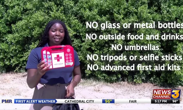 Coachella festival survival guide: everything you need to know