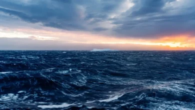 Collapse of key ocean current may release billions of tonnes of carbon