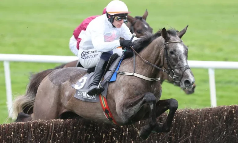 Confirmed runners and riders for the Irish Grand National at Fairyhouse on Easter Monday