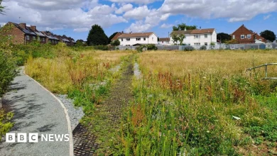 Consultation launched over flood defence plan
