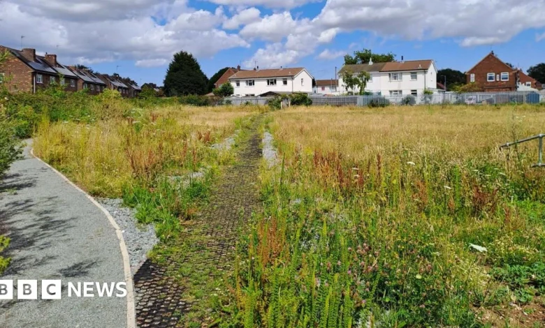 Consultation launched over flood defence plan