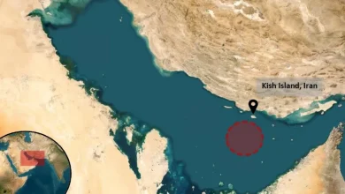 Container ship damaged after being struck by projectile near Iran coast