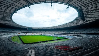 Cruzeiro x Universidad Catolica: onde assistir ao vivo, horário e escalações