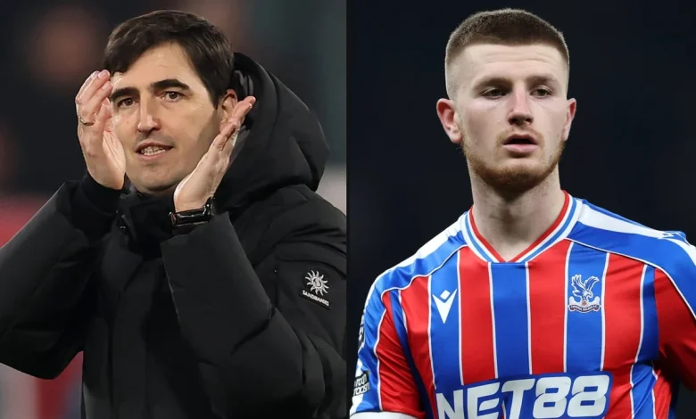 Crystal Palace mailbag: Targeting Iraola, Wharton’s future, transfer plans and stadium latest - The Athletic