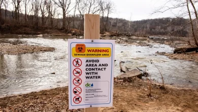 DOJ, Maryland Head to Court to Make 'It Right for Marylanders'