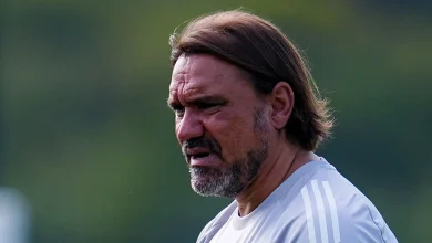 Daniel Farke provides fitness update ahead of Wolves clash