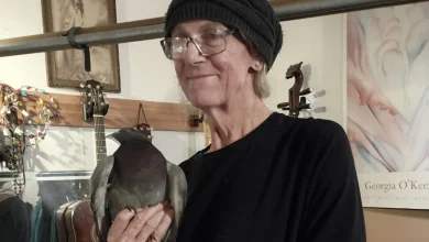 Dannielle Spillman, SoMa hit-and-run victim, was rockstar grandma