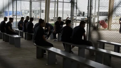 Death rate in immigration detention has reached a 22-year-high, doctors say