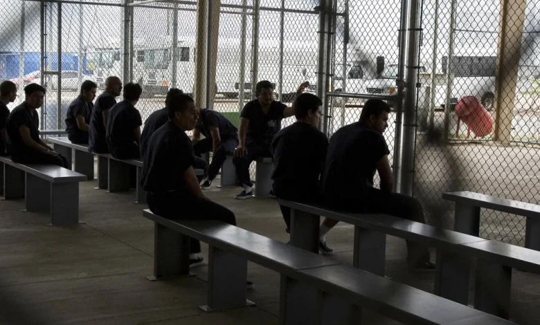 Death rate in immigration detention has reached a 22-year-high, doctors say