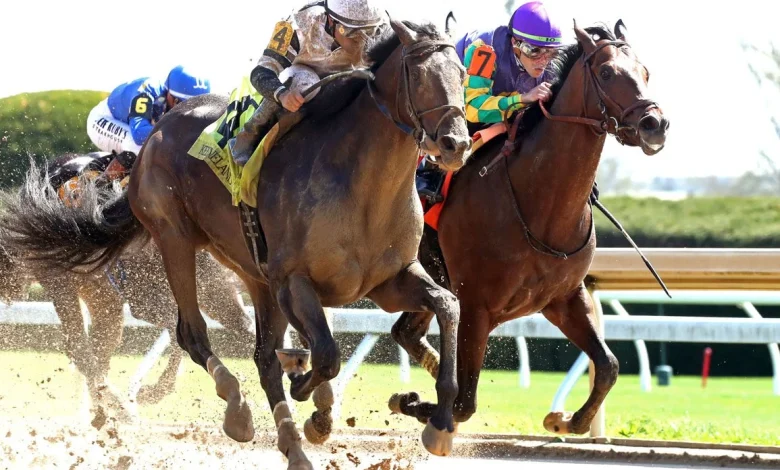 Dialed In's Trouble Calling Scores Narrowly In Lafayette