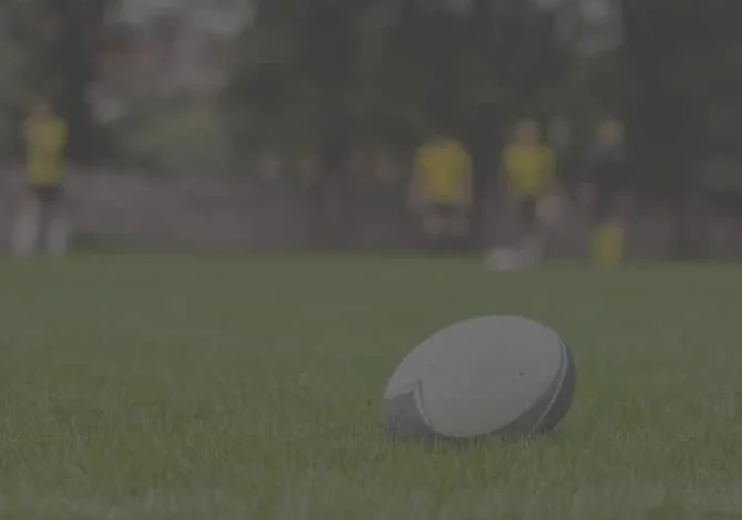 Duane Vermeulen to replace Rassie Erasmus as Springboks head coach