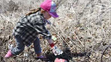 Earth Day 2026: Events across Waterloo Region