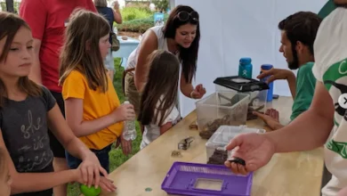 Earth Day events scheduled across Northern Colorado to honor the planet and environment