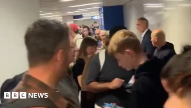 Easyjet passengers stranded in Milan by border check queues