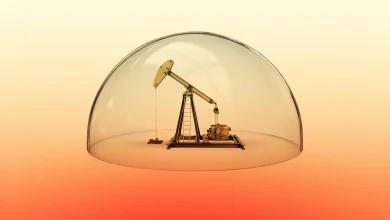 “Economic Civil War”: States Push Laws to Shield Oil and Gas Companies From Accountability