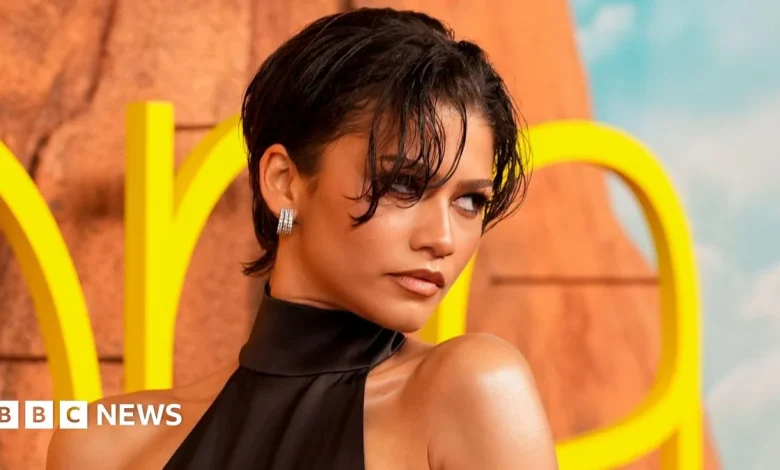 Euphoria: Sydney Sweeney, Zendaya and Jacob Elordi lead stars at season three premiere