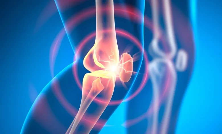 Experimental Drug Can Reverse Osteoarthritis in Weeks, Animal Research Shows : ScienceAlert
