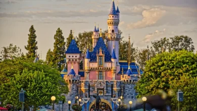 Family Caught on Video Attempting to Sneak Child Into Disneyland