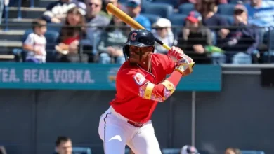 Fantasy Baseball: American Legaue Playing Time Tracker