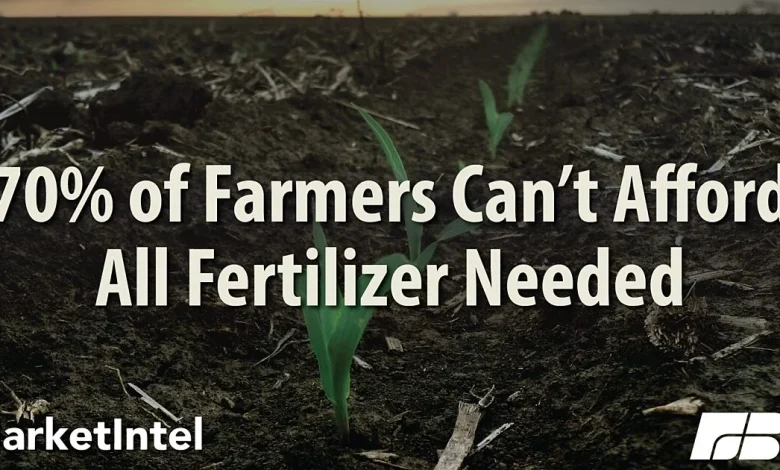 Farm Bureau Survey Reveals Real Impact of Fertilizer Availability and Price | Market Intel