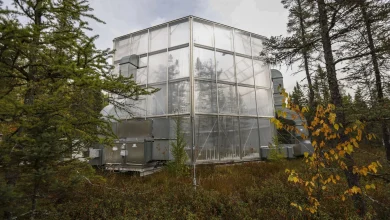 Feds to close Grand Rapids lab that does global-leading research on forestry, climate change - MPR News