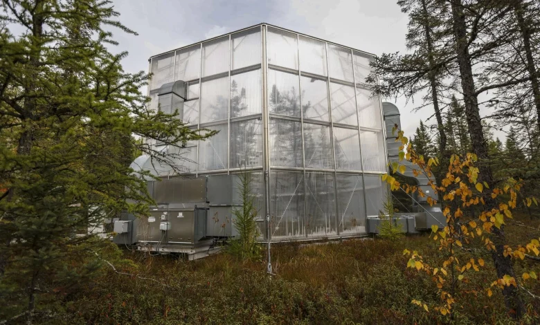 Feds to close Grand Rapids lab that does global-leading research on forestry, climate change - MPR News