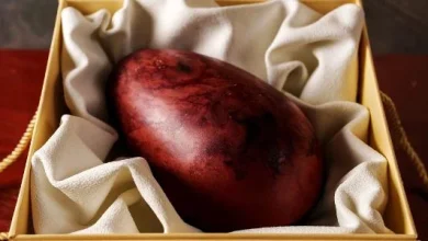 Feliz Páscoa 2026: veja 68 mensagens e frases perfeitas para enviar