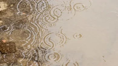 Flood threat increases across Great Lakes amid heavy rainfall, rapid snowmelt