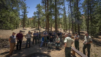 Forest Service overhaul sows confusion, concern