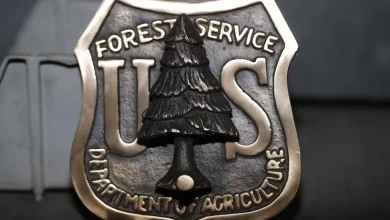 Forest Service will move headquarters to Salt Lake City, as part of ‘sweeping’ reorganization