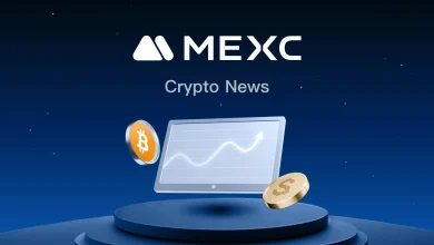 Fox News admits downed jet is 'more than bad luck': 'Iran has a lot of missiles'