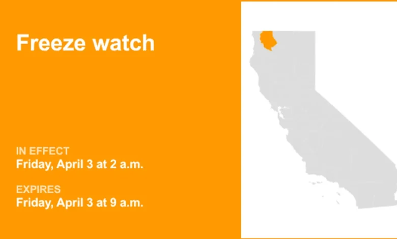 Freeze watch affecting Western Siskiyou County Friday - temperatures could sink to 26