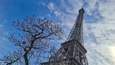 French police probe Polymarket Paris weather bet : NPR