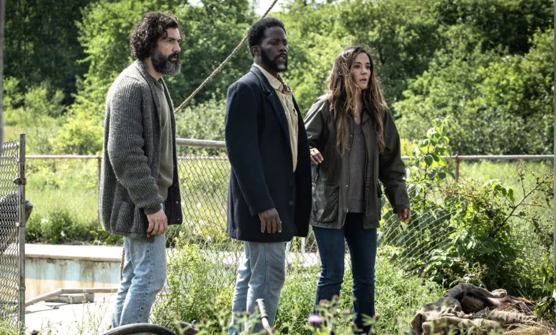 'From' Renewed For Fifth and Final Season (Exclusive)