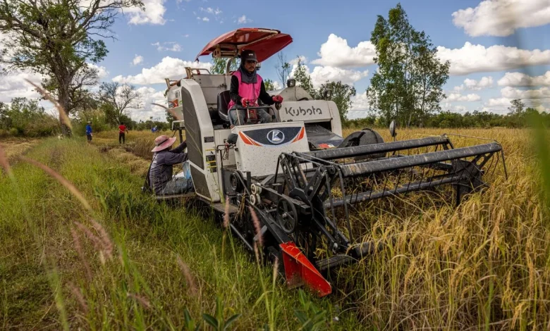 Fuel Shortages From Iran War Threaten Asia’s Biggest Food Staple