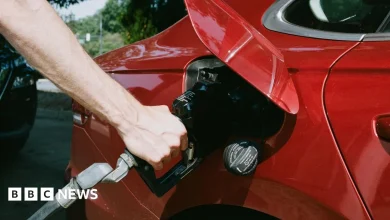 Fuel prices stop rising after 43 days of increases, RAC says