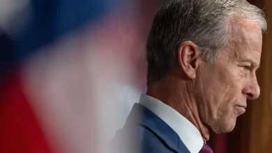 GOP Lawmaker Blasts ‘RINOs in the Senate’ as Republican Rift Simmers