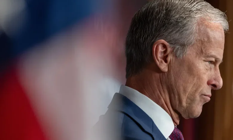 GOP Lawmaker Blasts ‘RINOs in the Senate’ as Republican Rift Simmers