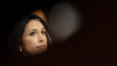 Gabbard revives ‘deep state’ conspiracy claims, alarming Democrats who see a pattern