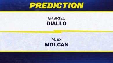 Gabriel Diallo vs. Alex Molcan prediction, odds, picks for ATP Romanian Open 2026