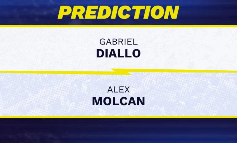 Gabriel Diallo vs. Alex Molcan prediction, odds, picks for ATP Romanian Open 2026