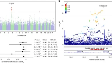 Genetic predictors of GLP1 receptor agonist weight loss and side effects