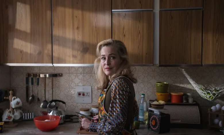 Gillian Anderson on Trespasses, the Troubles and love across divides