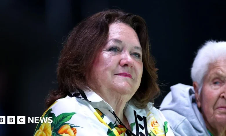 Gina Rinehart: Australia's richest person must share part of her mining fortunes, court rules